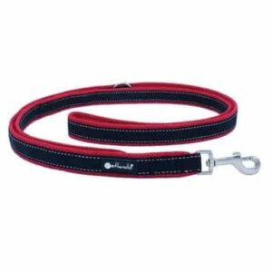 Petlando Outdoor 3M lijn met handvat Red