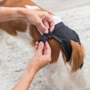 Alternative view of Loopsheidbroekje zwart, diverse maten