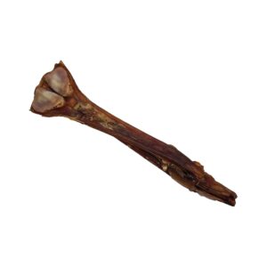 Paarden achillespees met bot