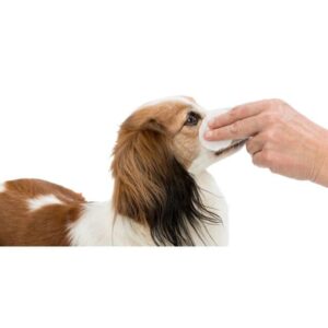 Oogverzorging wegwerp pads voor honden katten en knaagdieren