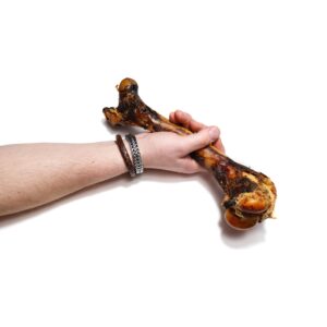 Hert Schenkelbot per stuk voor de hond