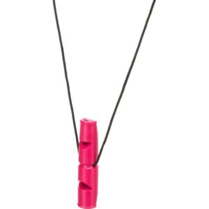 Tweetonige fluit voor hondentraining