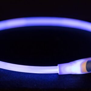 USB Flash Lichtgevende Halsband blauw ( S-M )