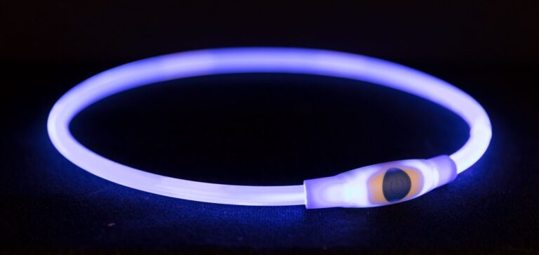 USB Flash Lichtgevende Halsband blauw ( S-M )