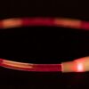 USB Flash Lichtgevende halsBand Oranje (S-M)