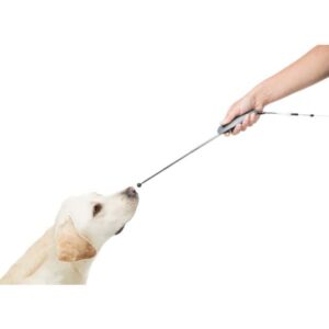 Target Stick voor hondentraining