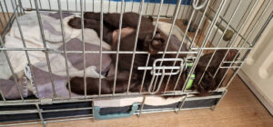 20220901 135839 1.1 20220901 135839 1.1