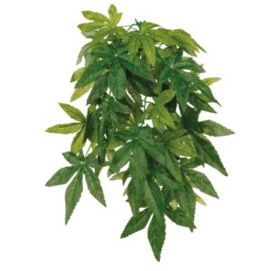 Zijden Hangplant Abutilon 20 × 30 cm