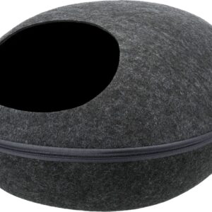 Schuilplaats Liva voor de kat