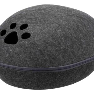 Schuilplaats Liva voor de kat