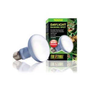 Exo Terra Daylight basking spot 100W