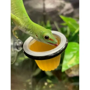 Exo Terra food cup holder