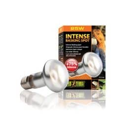 Exo Terra intense basking spot 25W