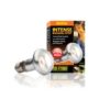 Exo Terra Intense Basking Spot 50W