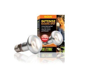 Exo Terra Intense Basking Spot 50W