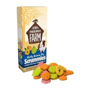 TFF Gerty Guinea Pig Scrummies