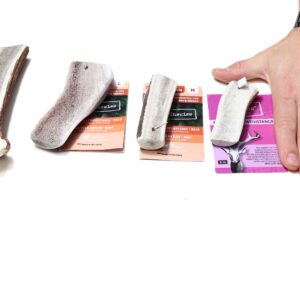 Chewies Edelhert gewei half