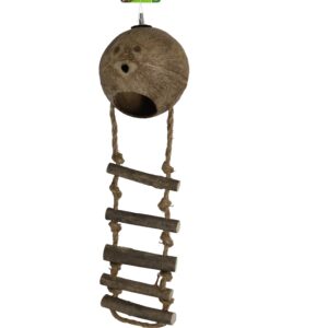 Kokosnoot met touwladder en schroefdraad voor vogels