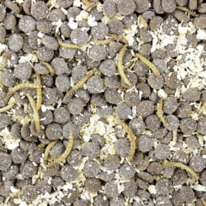 Esve egelvoer smikkelmix 2.3kg