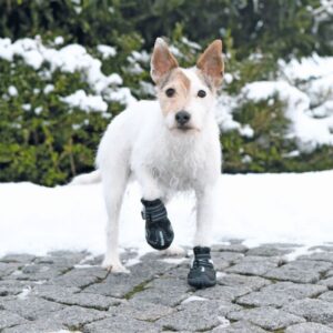 hondenschoen Walker Active voor honden