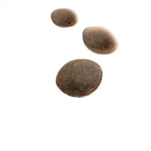 ROYAL CANIN Training Treats zijn gezonde, caloriearme snacks voor honden vanaf 6 maanden, perfect als beloning tijdens training.