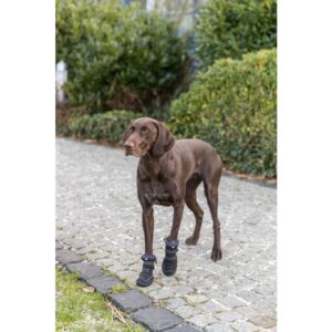 PHO PRO DOG 19416 2 SALL AWK V1 Pootbescherming Walker Active Long beschermt poten op elke ondergrond en biedt comfort, grip en veiligheid.