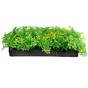 Kunstplant Sunny Splash 12cm geeft je terrarium, paludarium of aquarium kleur en diepte zonder onderhoud. Realistisch, veilig en direct klaar voor gebruik.