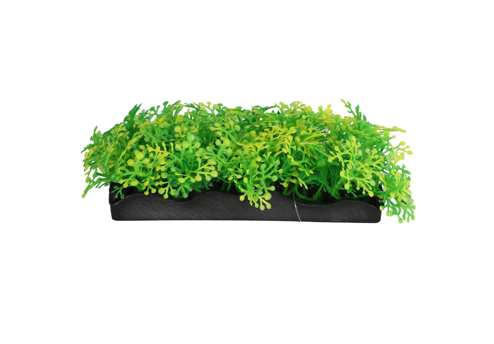 0051700 Kunstplant Sunny Splash 12cm geeft je terrarium, paludarium of aquarium kleur en diepte zonder onderhoud. Realistisch, veilig en direct klaar voor gebruik.