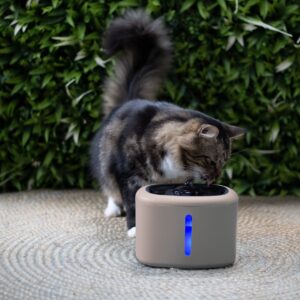 Alternative view of drinkfontein Aquabella cappuccino 2,5 liter