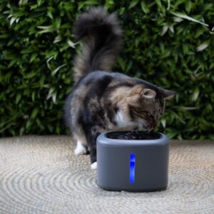 Drinkfontein Aquabella is een elektrische drinkfontein met filter en LED-verlichting, wat zorgt voor altijd fris drinkwater voor katten en kleine honden.