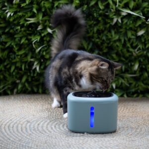 Drinkfontein Aquabella is een elektrische drinkfontein met filter en LED-verlichting, wat zorgt voor altijd fris drinkwater voor katten en kleine honden.