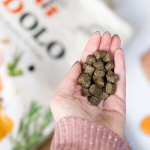 Ydolo Healthy and Pure Chicken: graanvrij hondenvoer met 75% vers vlees, hypoallergeen en perfect voor gevoelige honden.