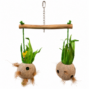 Vogelzitstok Met 2 Kokosnoten is natuurlijk vogelspeelgoed om te vullen met snacks en stimuleert foerageergedrag.