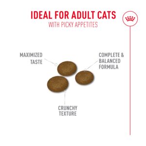 Royal Canin Fussy Exigent is een complete voeding voor kieskeurige volwassen katten met een onweerstaanbare smaak en unieke broktextuur.