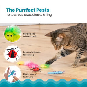 Catstages Cute as a Bug is een vrolijke set met 6 pluche kattenspeeltjes met catnip, ideaal om te jagen, meppen en spelen.