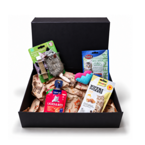 Cadeau Pakket kat small met speelgoed en heerlijke snacks. Een feestelijk cadeau voor katten en kittens.