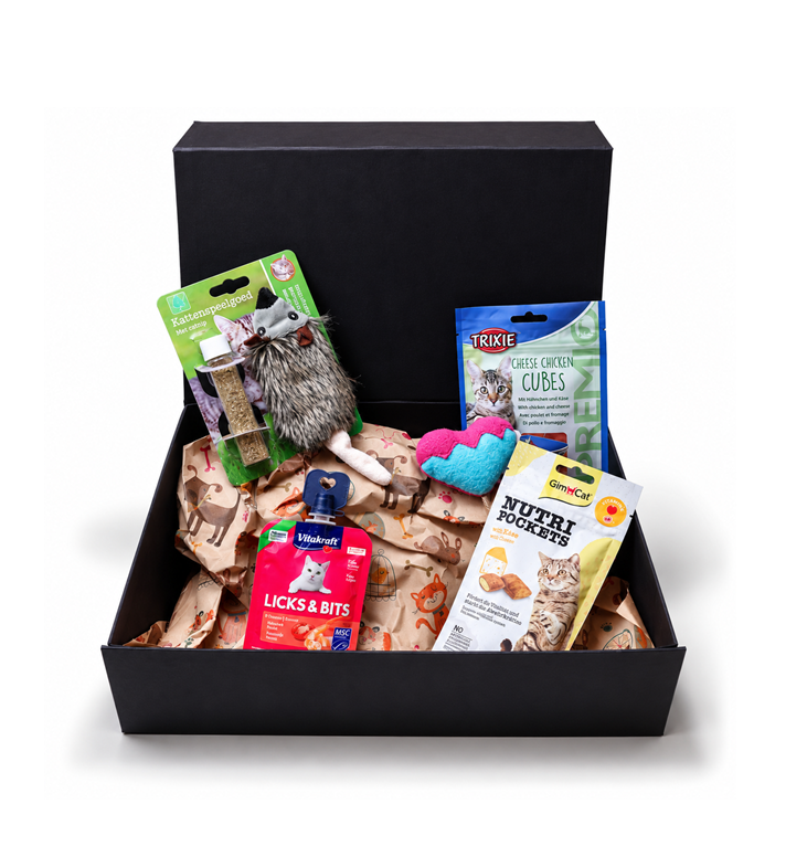 Kattenverwenpakket in zwarte geschenkdoos Cadeau Pakket kat small met speelgoed en heerlijke snacks. Een feestelijk cadeau voor katten en kittens.