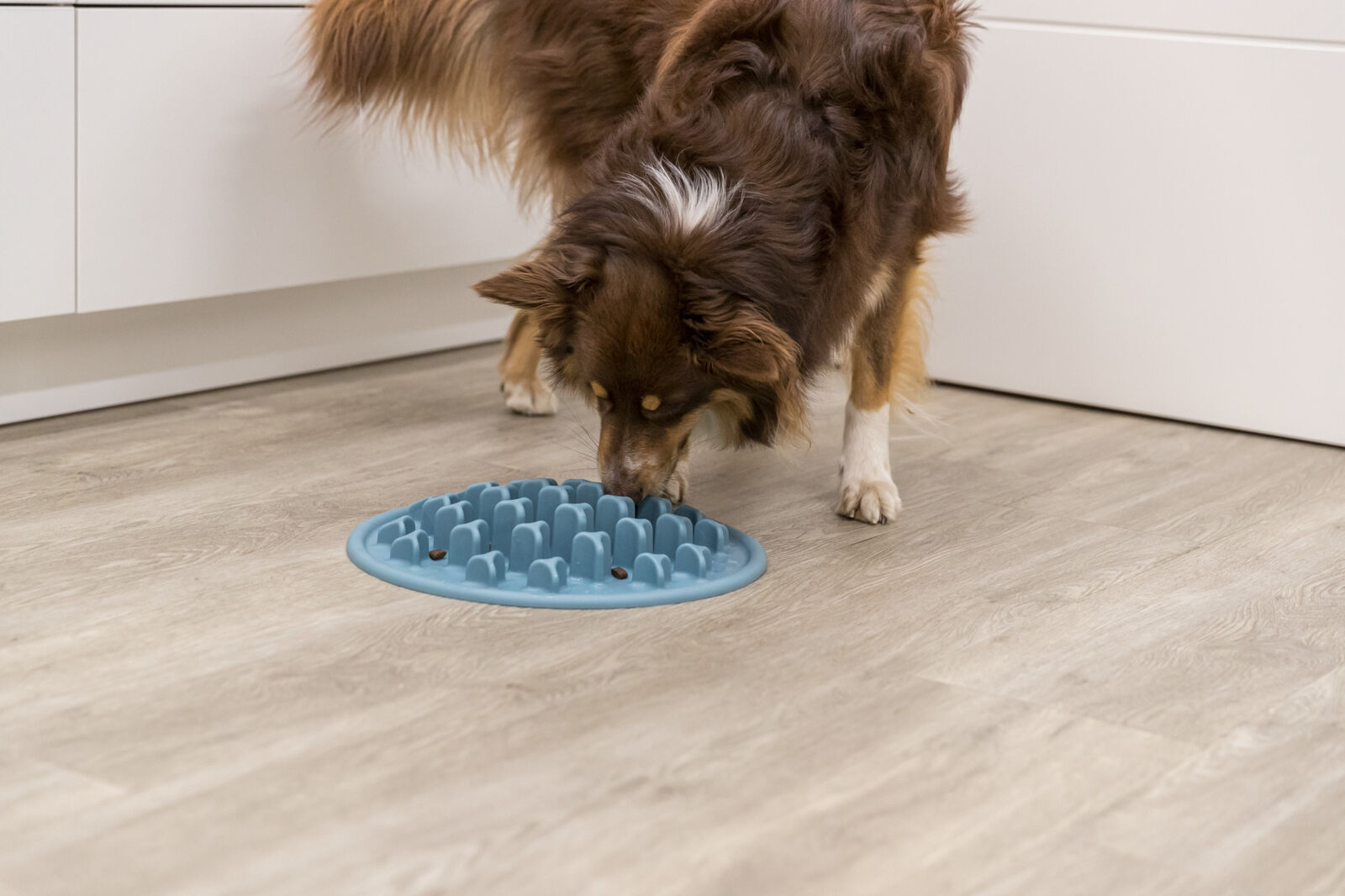 PHO PRO DOG 25038 2 SALL AWK V1 Slow Feeding Voedermat Pillars helpt schrokken te voorkomen en stimuleert langzamer eten. Slipvast, zacht en Ø 35 cm.
