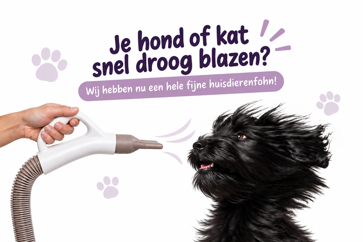 waterblazer beestachtiggoed.nl
