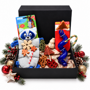 Kerstpakket Hond Deluxe met 10 snacks, een grote bosdierenknuffel en KONG Spiral Twist. Luxe verpakt en helemaal klaar voor kerst!