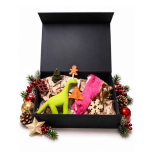 Kerstpakket Hond Small met 2 speeltjes en 6 lekkere verrassingen. Feestelijk verpakt in een luxe cadeaudoos, klaar voor onder de boom!