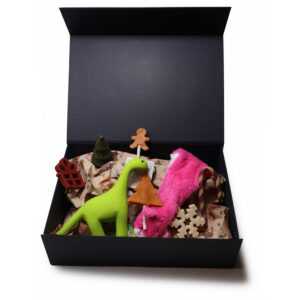 Kerstpakket Hond Small met 2 speeltjes en 6 lekkere verrassingen. Feestelijk verpakt in een luxe cadeaudoos, klaar voor onder de boom!